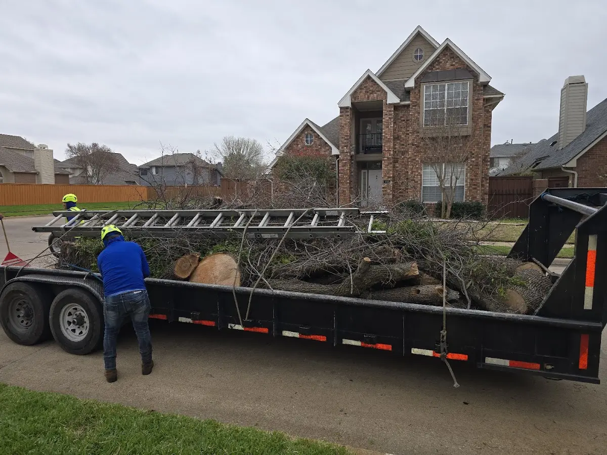Expert Tree Fertilization with proper safety equipment in Elmer